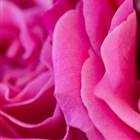 JoeyAndNiallSlideshow 14 (Large)